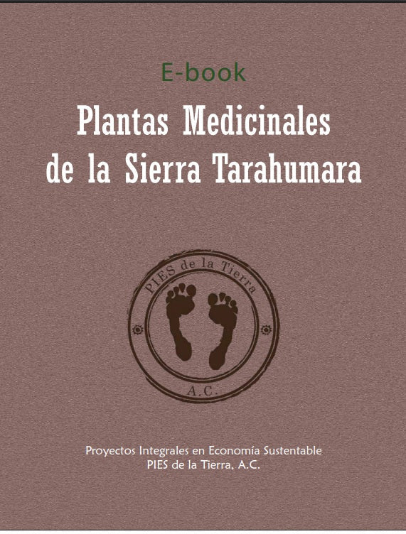 E-Book: Plantas Medicinales de la Sierra Tarahumara: el saber herbolario rarámuri como patrimonio biocultural 2020