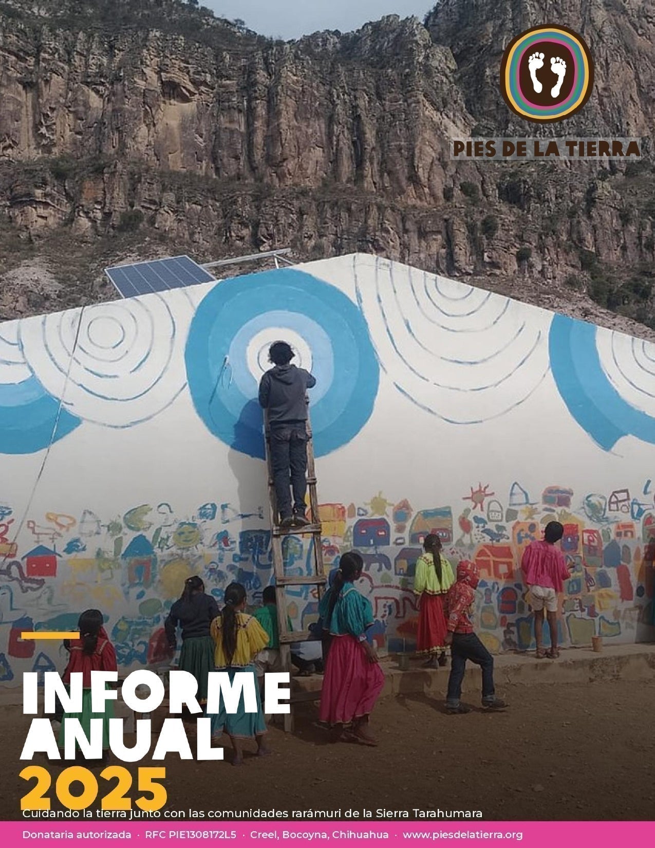INFORMES ANUALES PIES DE LA TIERRA 2025-2018