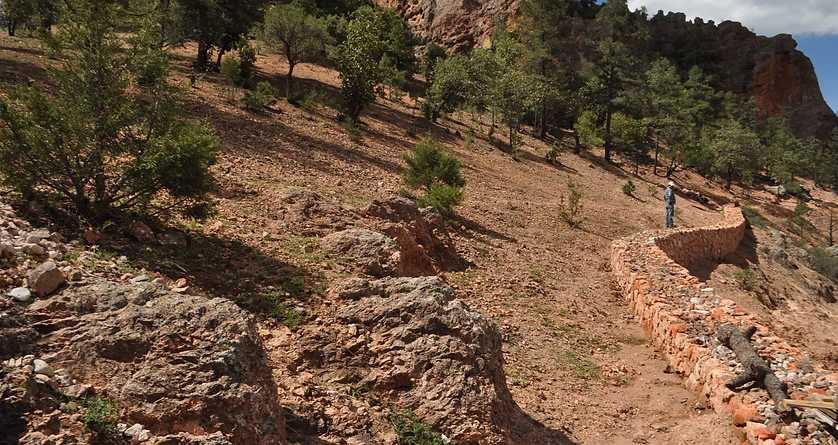 2014-Consultoría Microcuencas Zona Norogachi, Guachochi con Fundación José A. LLaguno